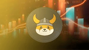 Floki
