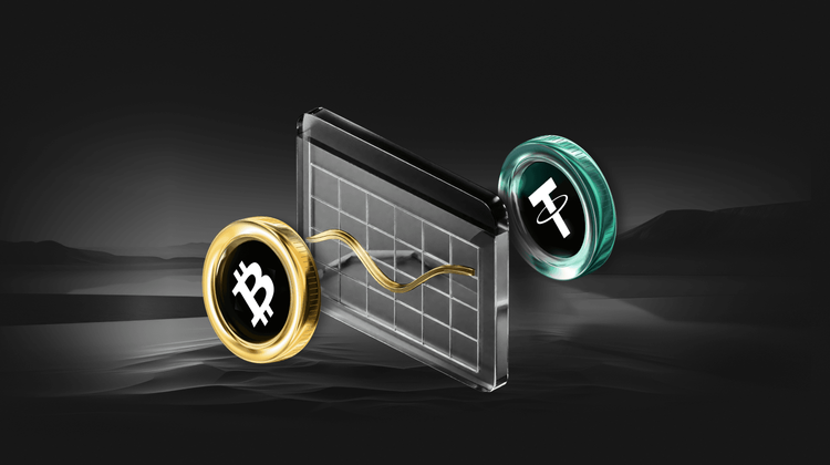 Pi Coin Price Prediction: Apps Can Now Add Pi Payments in 10 Minutes – The Most Significant Upgrade So Far?