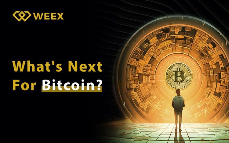 What is the Future of Bitcoin?